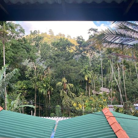 Cozy Homestay Waterfall Road Ella Exterior photo