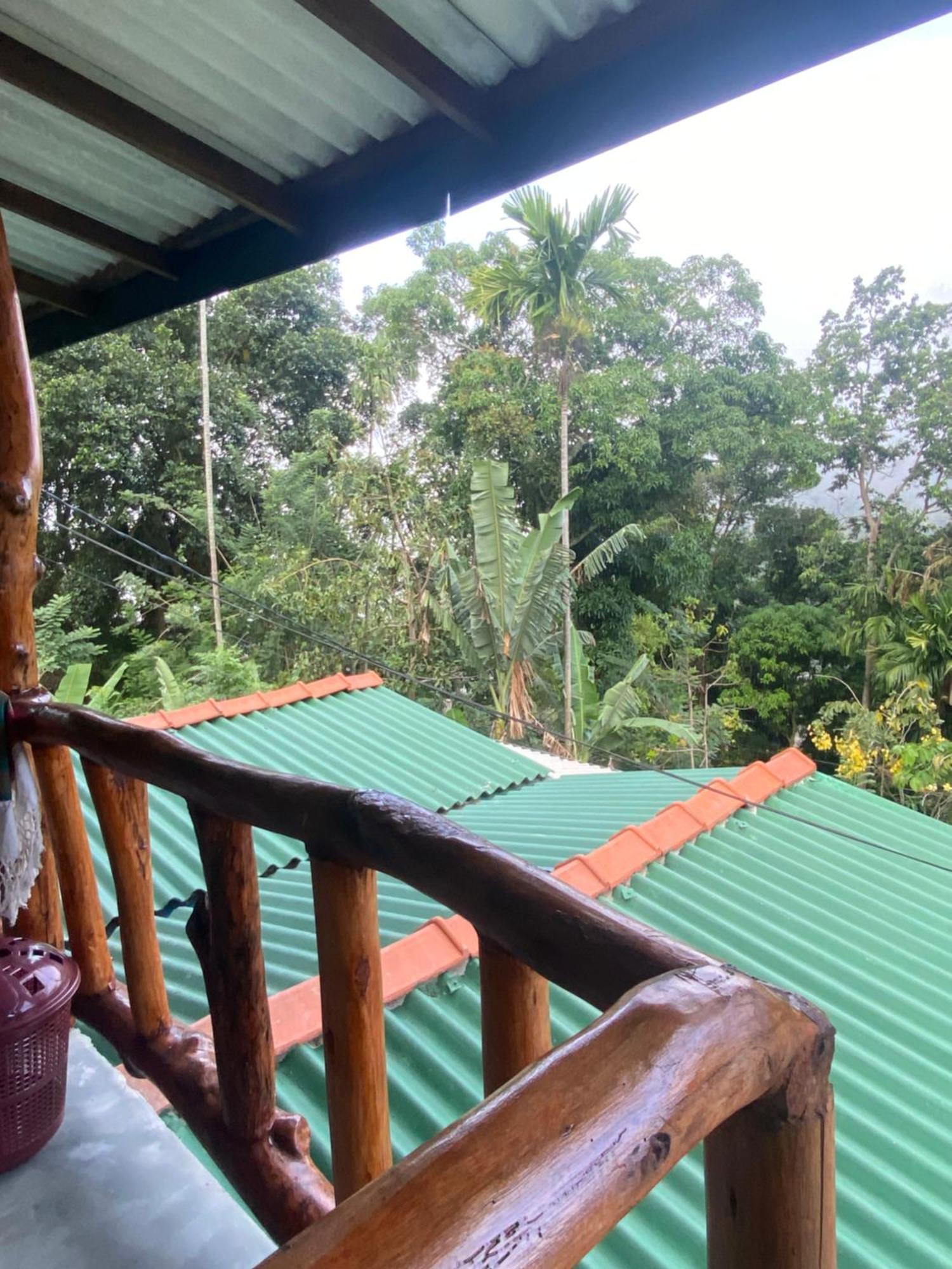 Cozy Homestay Waterfall Road Ella Exterior photo