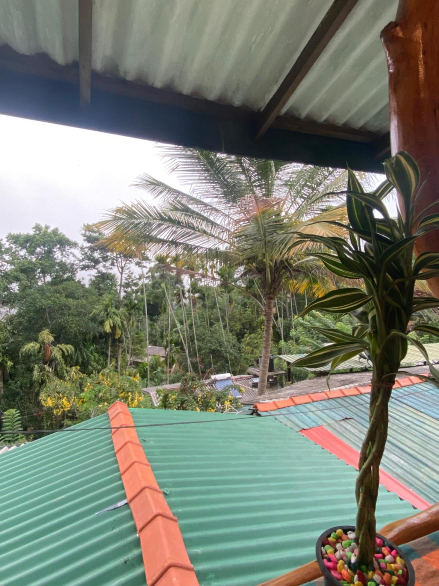 Cozy Homestay Waterfall Road Ella Exterior photo