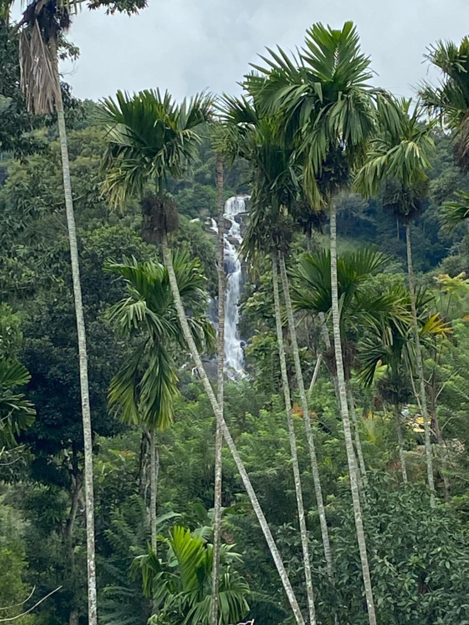 Cozy Homestay Waterfall Road Ella Exterior photo