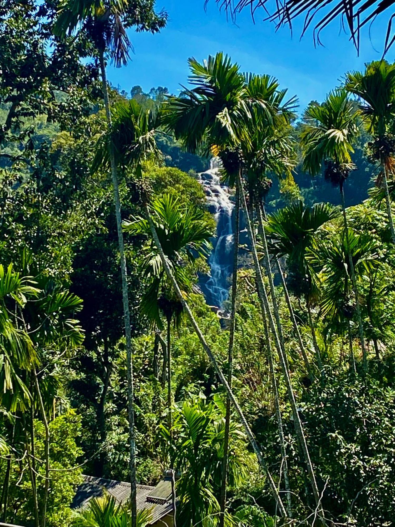 Cozy Homestay Waterfall Road Ella Exterior photo