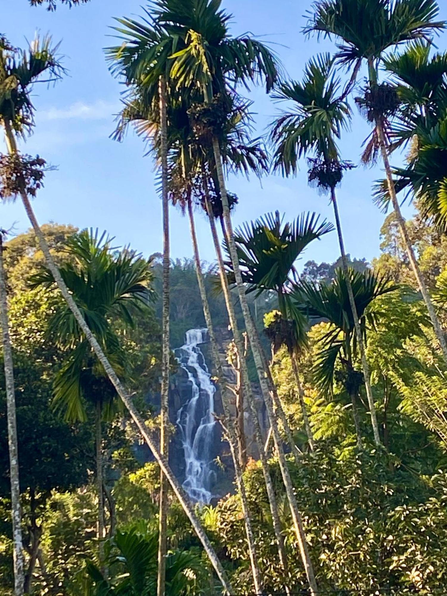 Cozy Homestay Waterfall Road Ella Exterior photo
