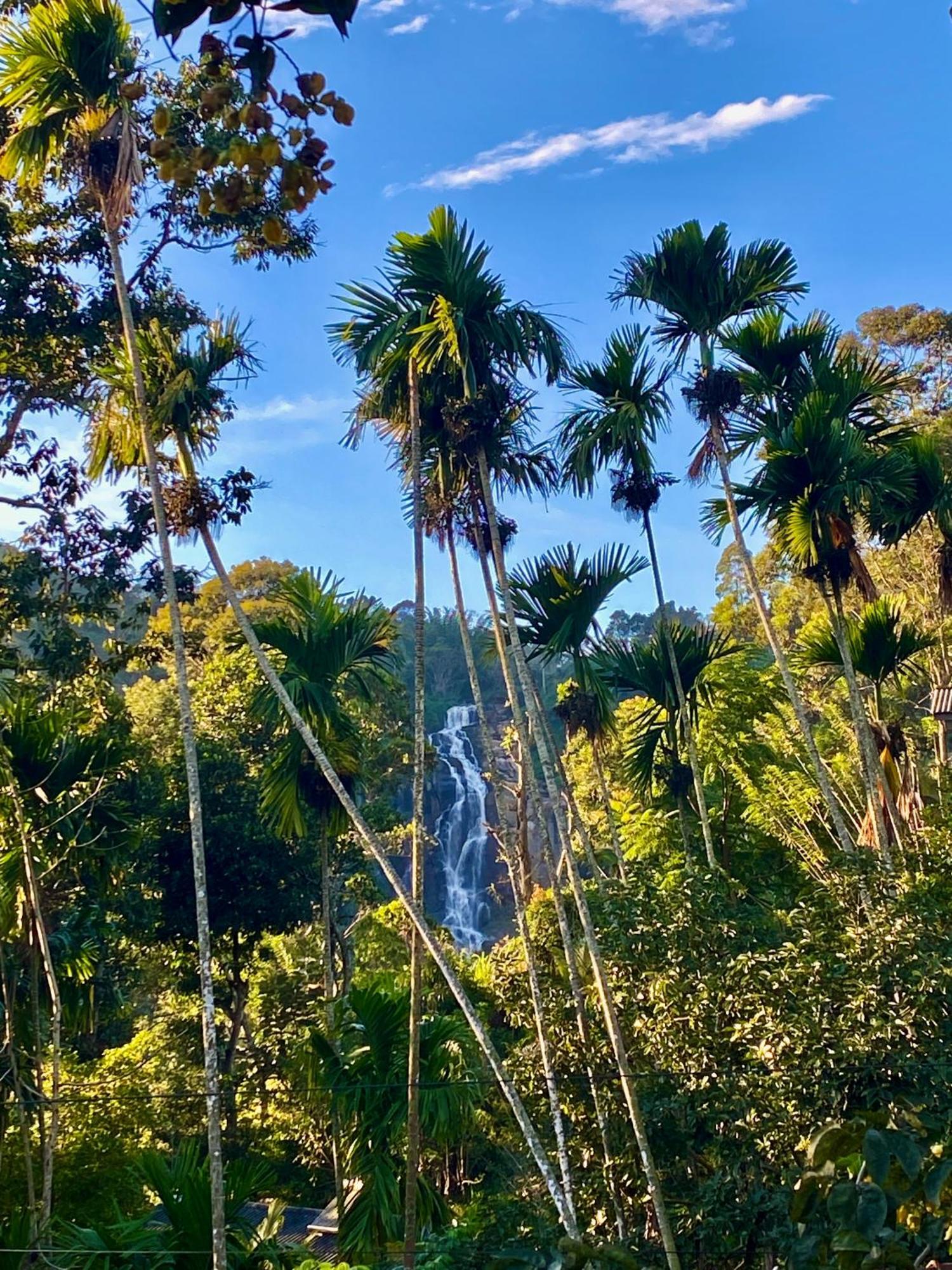 Cozy Homestay Waterfall Road Ella Exterior photo