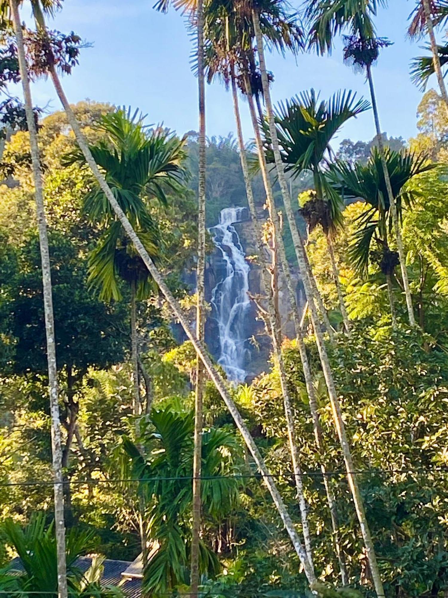 Cozy Homestay Waterfall Road Ella Exterior photo